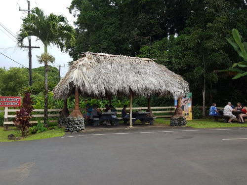 Halfway to Hāna