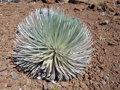 Haleakalā National Park