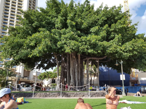 Waikīkī Beach