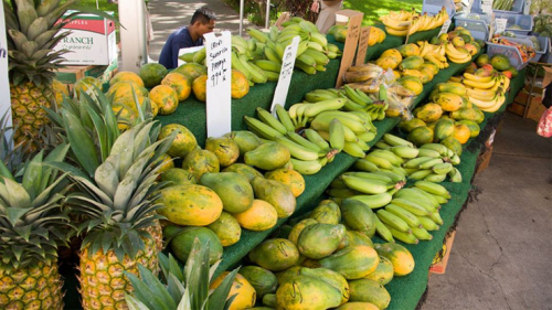 FCC Farmers' Market