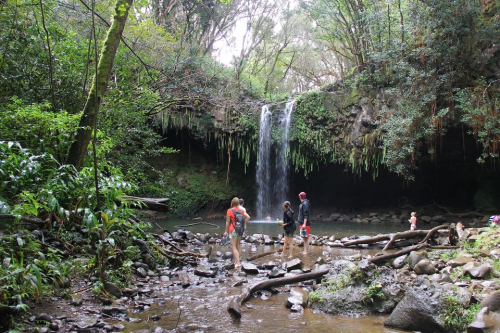 Twin Falls - Les chutes